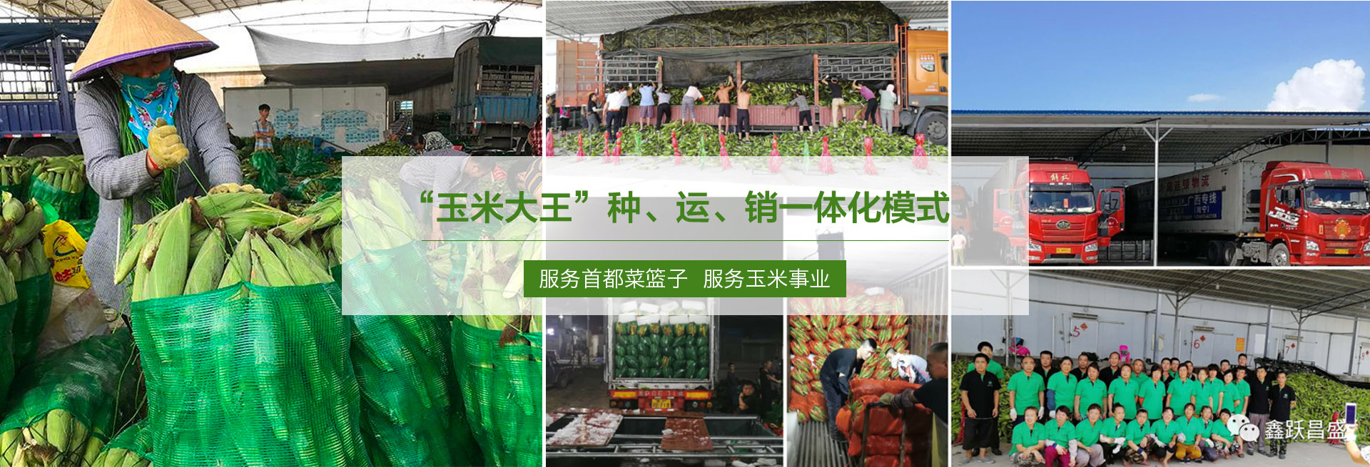 开云全站的体验完美